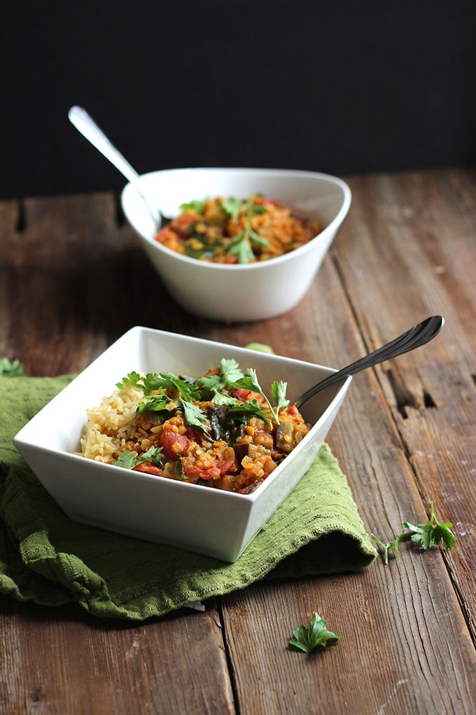 vegan madras curry garnished with fresh cilantro in a white bowl. 