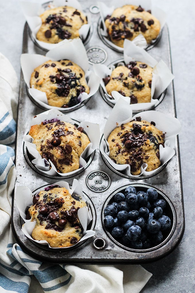 Blueberry Chocolate Muffins made with Greek yogurt