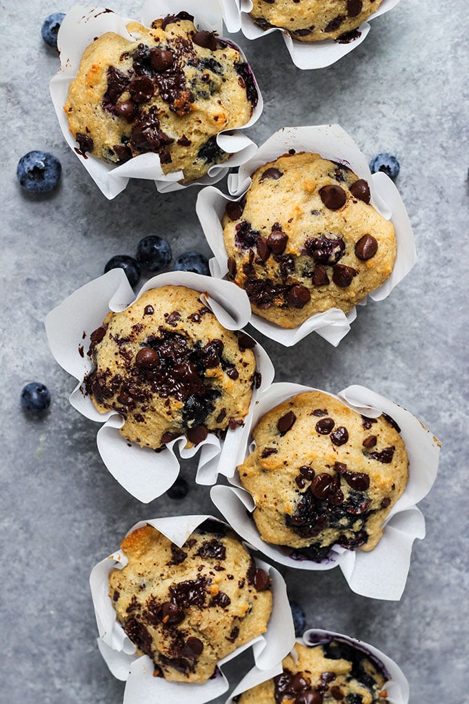 Blueberry Chocolate Muffins made with Greek yogurt