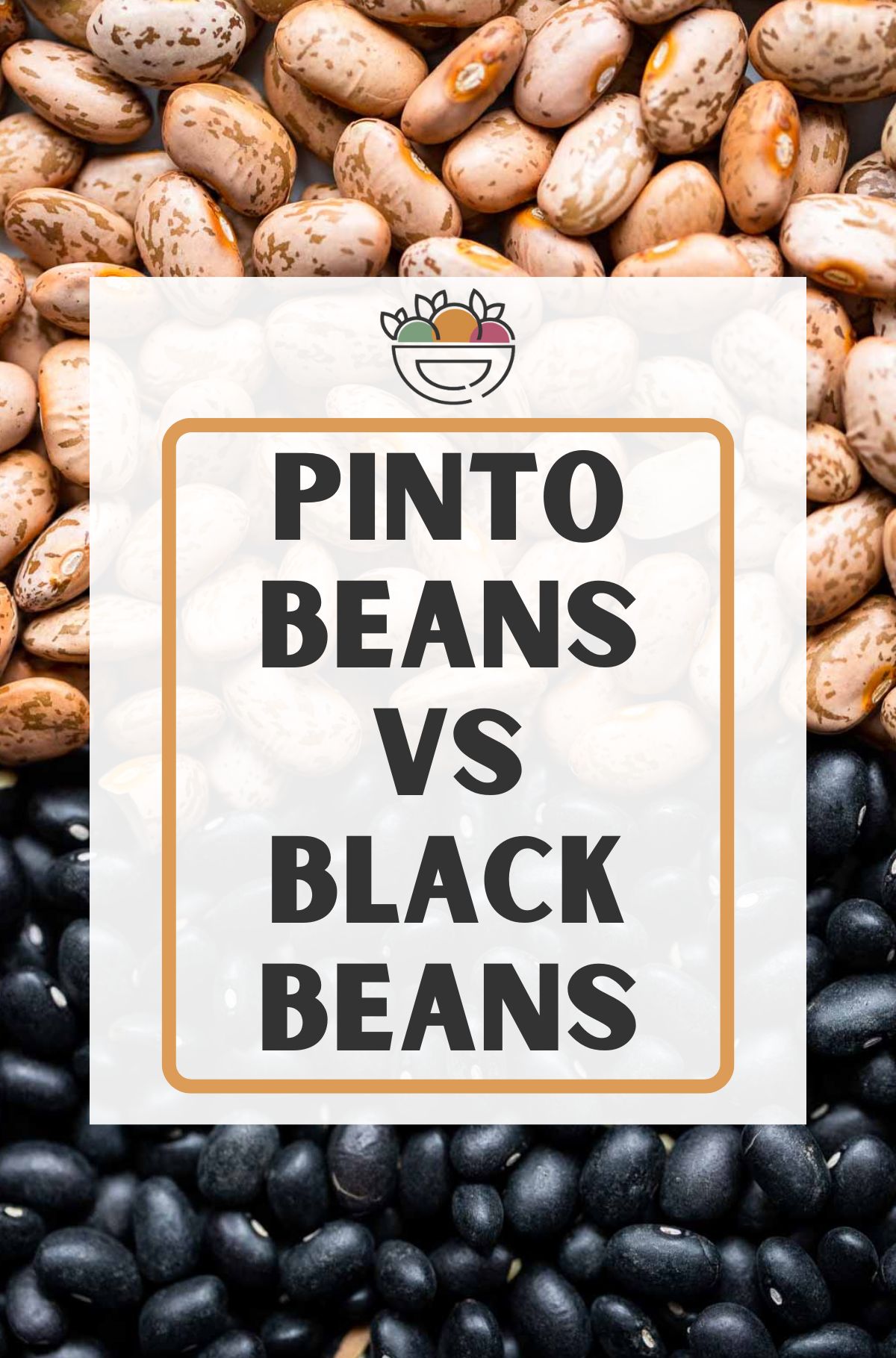 close up photo of dried pinto beans and black beans with text overlay that says pinto beans vs black beans.