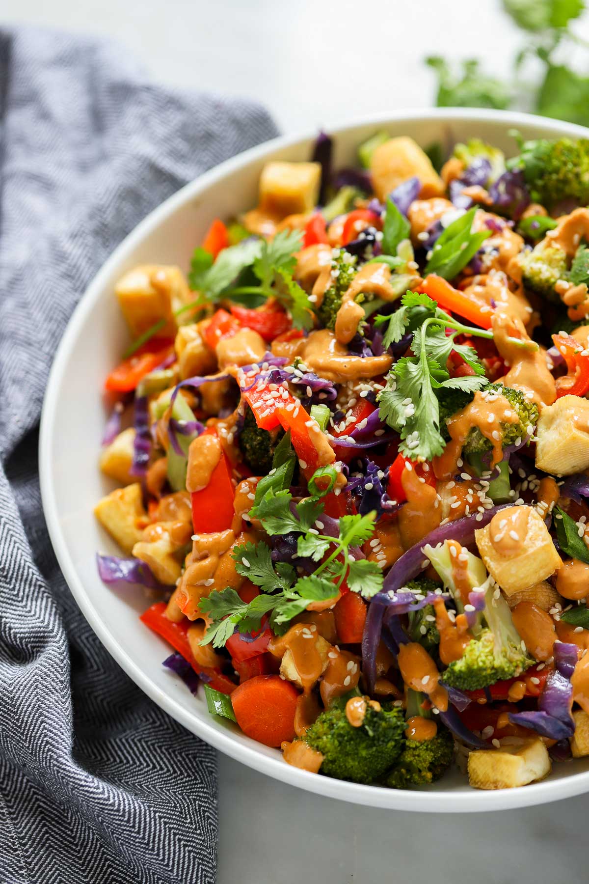 close up of peanut stir fry in a bowl garnished with fresh cilantro and sesame seeds.