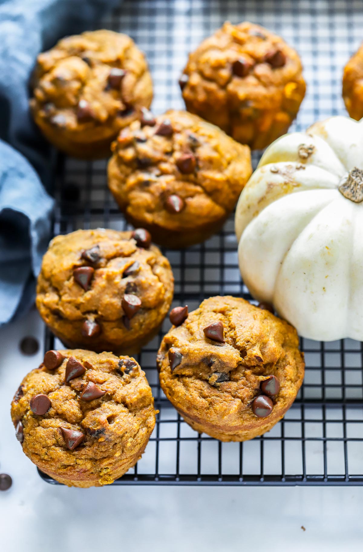 pumpkin chocolate chip muffins on a cooling rack with a white pumpkin.