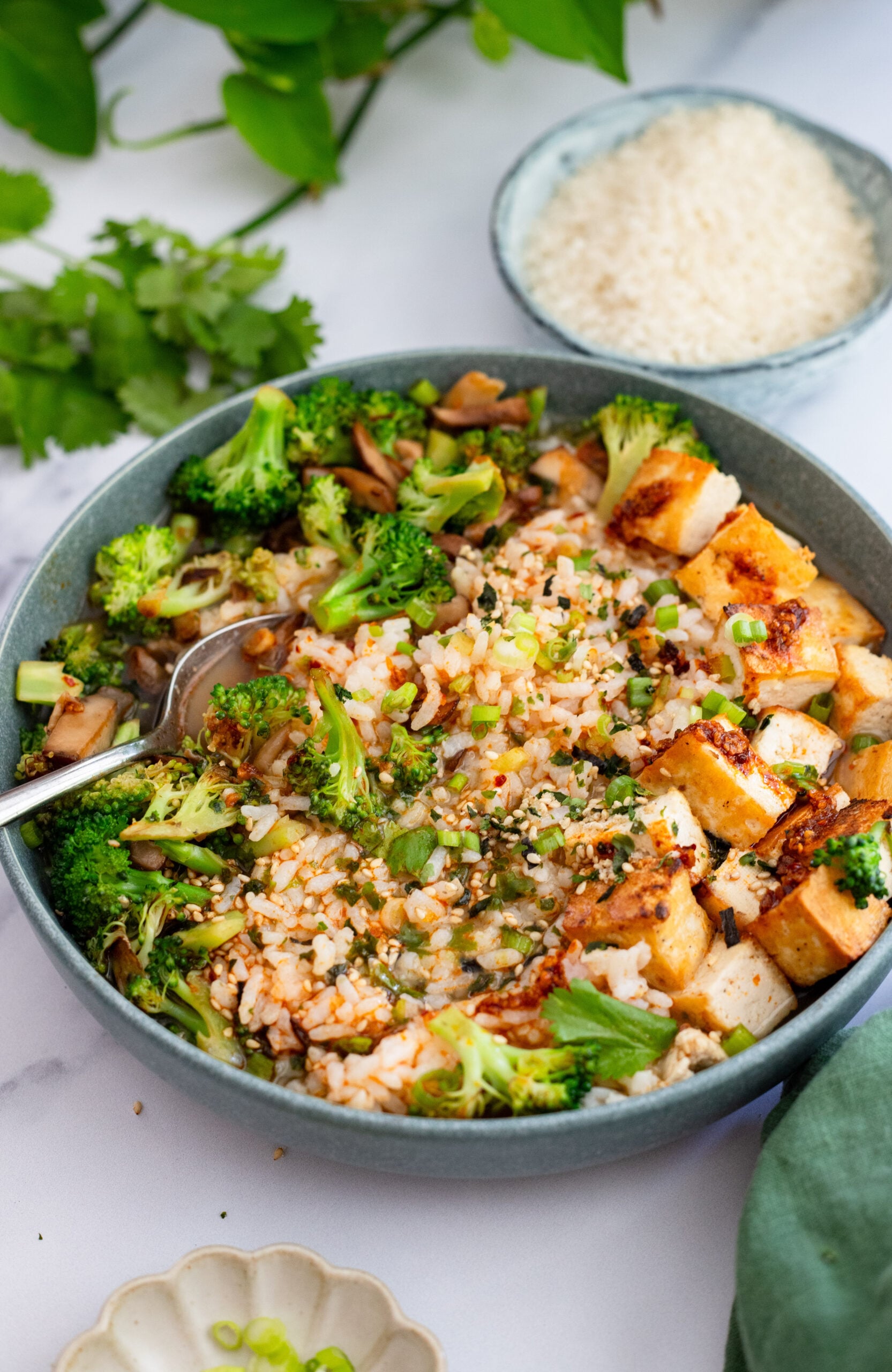 brothy rice bowl garnished with fresh cilantro and chili crisp
